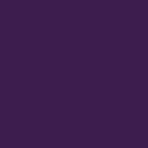 Unisex kalhoty Dickies - fialová