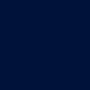 Unisex halena Dickies - námořnická modrá