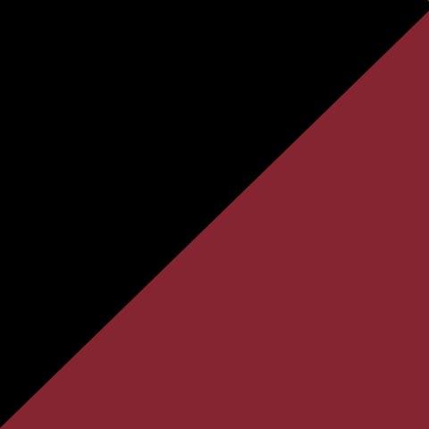 Fonendoskop Littmann Classic III - burgundy-black